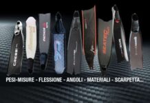 Studio delle migliori pinne in composito