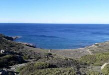 Pesca Apnea Sardegna: il mare più bello!