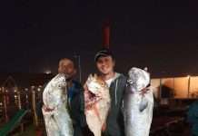South African spearfishing championships – day 1
