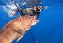 Pesca submarina profunda ade peso variable – Parte 2