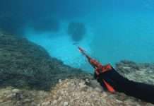 Picasso Cobra Rail 75