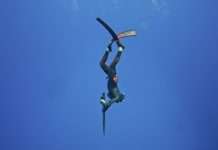 Duck dive by Sheena McNally