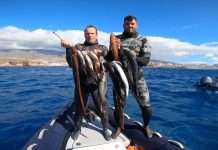 International Open of Tenerife