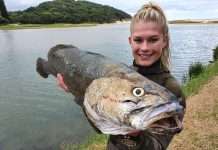 Amazing Summer catches in South Africa