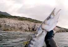 Meandros Nitro mechanism on Cressi Comanche