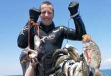 XXIX Campeonato Interregional de Croacia
