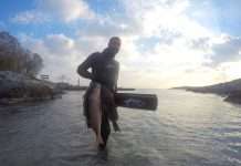 Intervista a Gerasimos Kavvadias