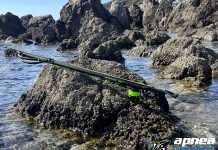 Salvimar Ares… Masterpiece