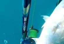 Revisión del Salvimar Hero