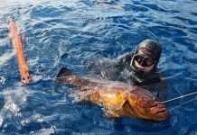 Luigi Puretti – Penso già al Mondiale