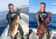 Oscar Cervantes, from Omer to C4