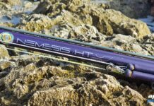 Sigalsub Nemesis HT: the Winner