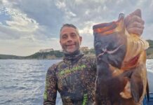 Raffaele Seiello, l’alieno in Acid Green