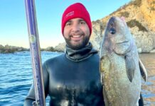 Sigalsub Nemesis HT, almost perfect