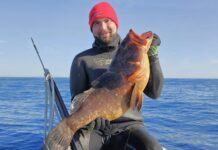 Poggioli prueba el Cetma Arrow