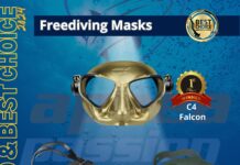 Meilleur choix 2024 : Le C4 Falcon gagne