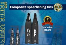 Best Choice 2024: C4 MB002 win, Leaderfins are Best Value