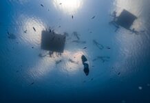 DEEP DOMINICA 2024 – Bella e Impegnativa