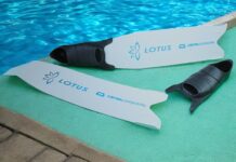 Cetma Lotus expliqué