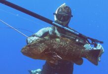 Marconcini tests the Cressi Cherokee Power 110