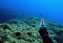 Hero Invert by Beuchat, the All-Rounder