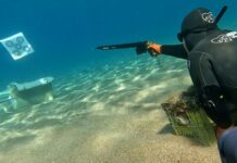 Cressi Mach tested by Mura