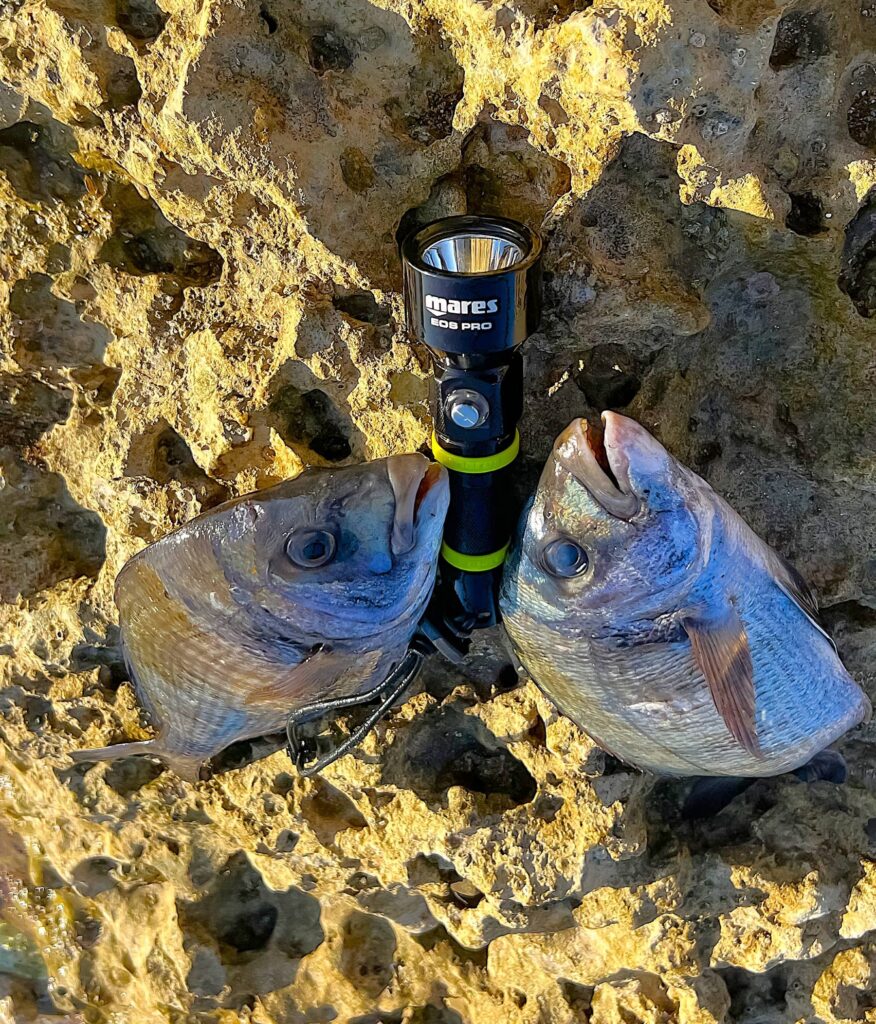 Torcia Mares EOS Pro, la preferita di Diego Mazzocchi, e Best Choice 2024 by Apnea Passion