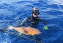 Verso l’Assoluto – Nicolò Coluccelli