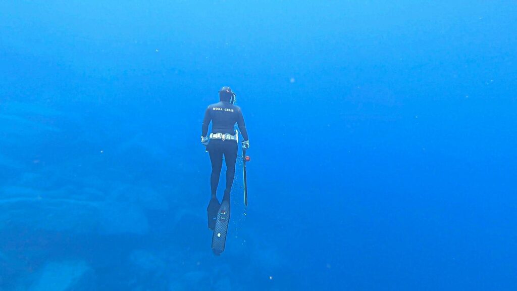 Cinzia Mora Celis in azione