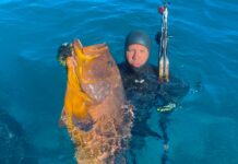 Verso l’Assoluto – Rocco Cuccaro