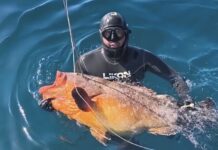 Andrés Ruiz : Super combinaisons Likon