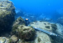 Verso l’Assoluto – Elena Bartolacci