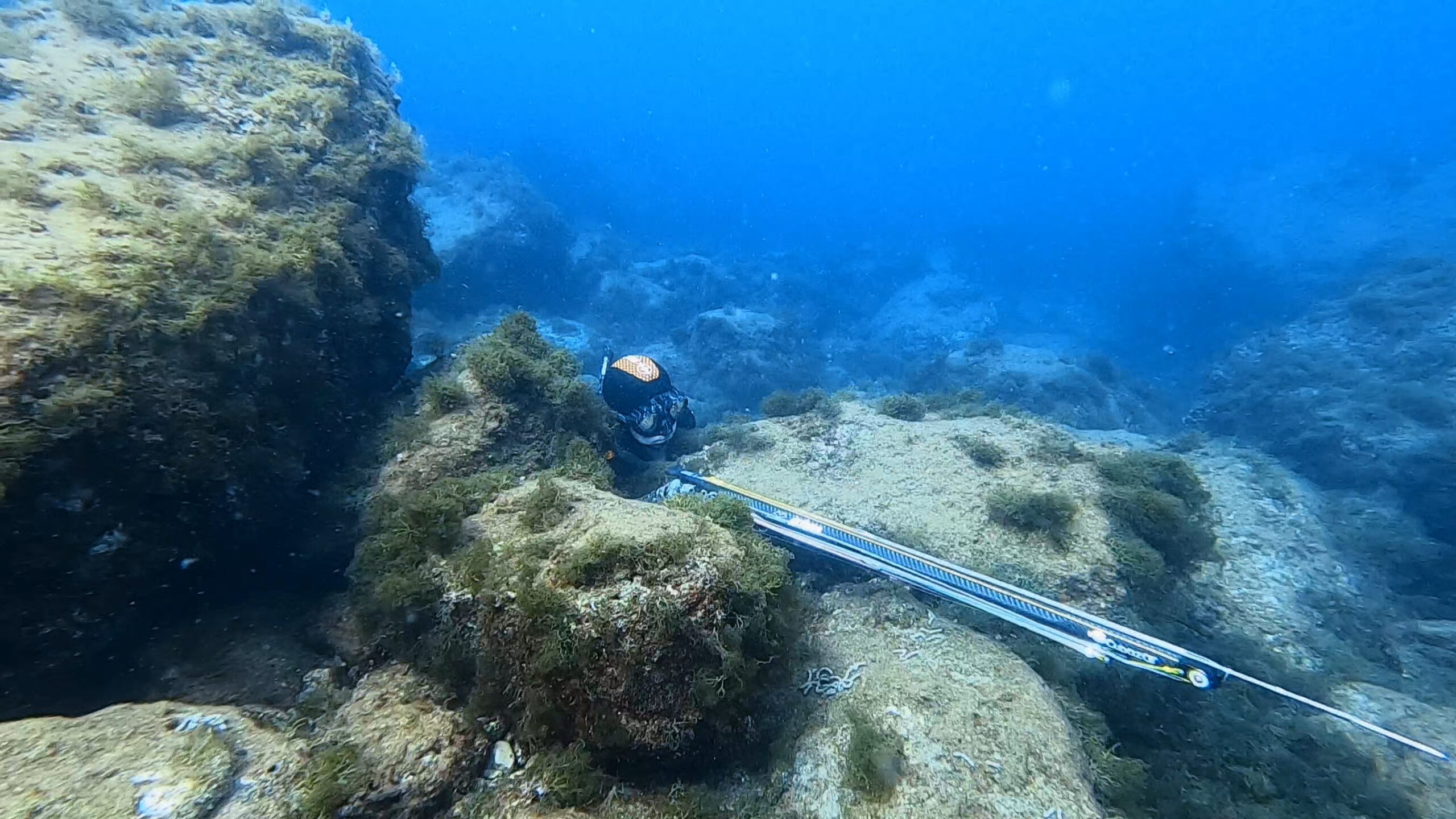 Elena Goofycat Bartolacci in azione