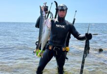 Verso l’Assoluto – Francesco Rossi