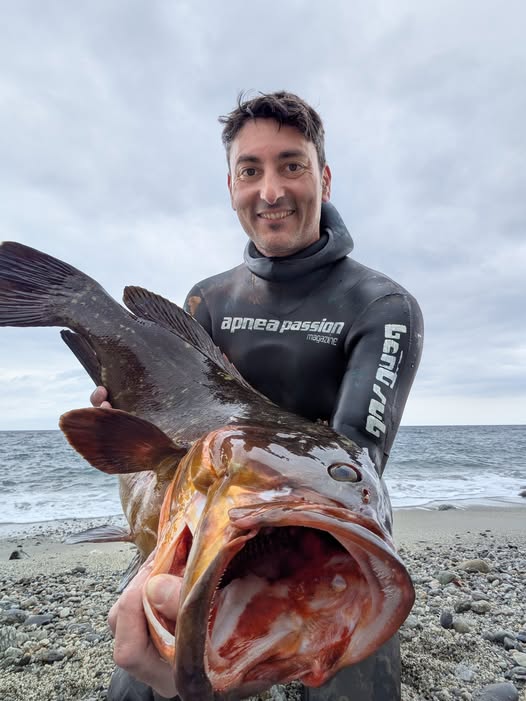 Claudio Marconcini with a great dusky grouper and his Benti Sub wetsuit, he considers "the best ever tried".