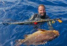 Meandros b32 – Best Choice 2025