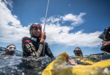 Isabel Sánchez-Arán