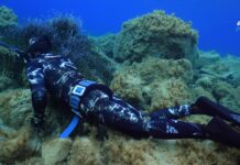 Test muta Cetma Black Camu