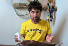 Puretti: sfilettare il pesce da mangiare