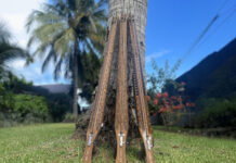 VAU 95 – Mediterranean Precision, Polynesian Soul