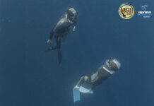 C4 D&D neck weight Best Choice 2025