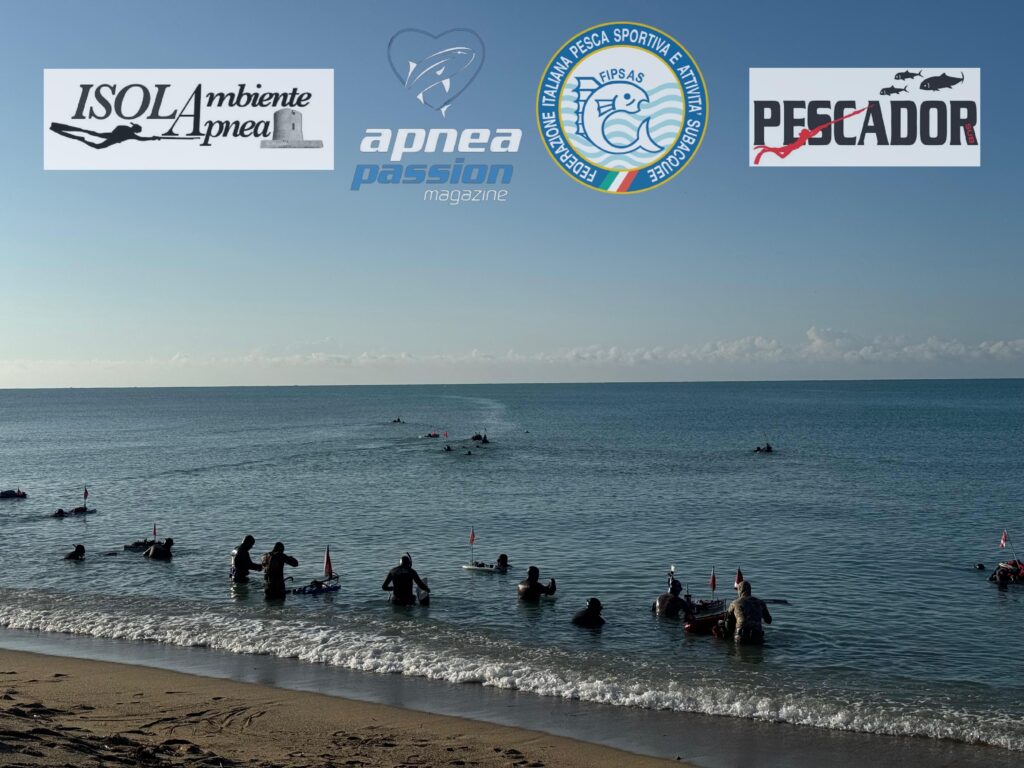 Giaquinta-Mercurio: la partenza