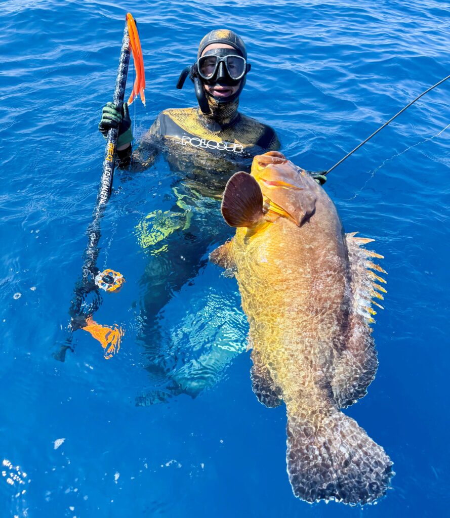 Dario Deli catches a large grouper with his Meandros b32 Best Choice 2025 by Apnea Passion