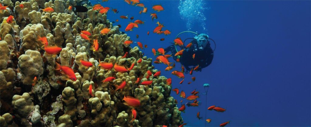 Global Marine Leaders back Jordan's Diving & Marine Innovation Event as capacity nears