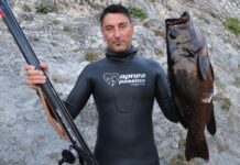 Marconcini tests the Cetma Shark 85 Regular