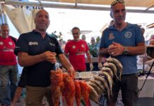Oggiano vince il Campionato di Qualificazione – I voti