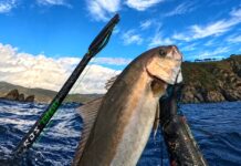 Meandros Argo 85 Review – Ease, precision and unexpected power